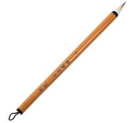 COOPHYA 1pièce Calligraphie Pinceau Pratique pour Copie de Textes Classiques Modèle de Petite pour Débutants et Enseignement Traditionnel