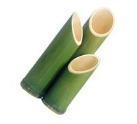 COOPHYA 3pièces Vase Bambou pour Fleurs Jardinière Tube De Bambou Pot De Fleurs pour Vase Moderne Artistique