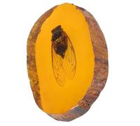 COOPHYA Spécimen D'insecte Décoration Intérieure Unique en Résine en Ambre Orange et Présent Original Artisanat Complexe et Esthétique