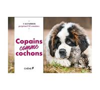 Calendrier 52 semaines Copains Comme Cochons