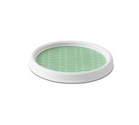 Copco 2555-0191 antidérapante Pantry Cabinet Lazy Susan Turntable, 22,9 cm, Blanc/Gris 9-inch Blanc/Vert