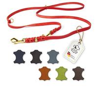 CopcoPet Laisse pour chien en cuir gras tressé - 2 m x 8 mm - Rouge - 3 positions de réglage - Avec ferrures en laiton - Poignée antidérapante et robuste - Laisse pour petits chiens - Idéale pour la