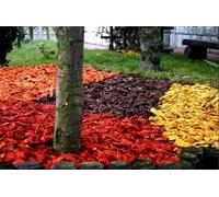 Copeaux de Bois décoratifs - Colorés Écorce colorée - écorce de Jardin - 20Kg (Jaune)