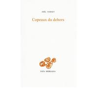 Copeaux du dehors - Joël Vernet - Fata Morgana - broché - Roman