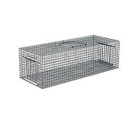 COPELE 90229 Cage Capture Pigeons, Vert