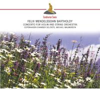 Copenhagen Chamber Soloists - Michael Malgreen - Concerto for Violin & String Orchestra in D Minor