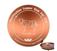 Copper Disk, Drinking Water Purifier, Outdoor Trough Purification Plate | Solid Copper Water Purifier, Four Inch Trough Cleaner Plate, Pure Drinking Water Supply, Outdoor Farm Ranch Accessory
