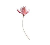 Copper Hot Pink Magnolia Flower Lotus Enamel Brooches Top Women Bouquet Wedding Brooch Pins(Light pink)