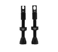 Coppia De Valves Tubeless MK2 42MM Compatible Avec Inserts Noir PY-TV2-42-B