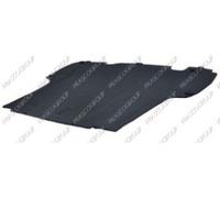 COPRIMOTORE INFERIORE