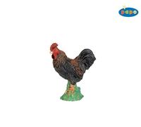 Coq