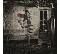 Coq au Vin - Coq au Vin