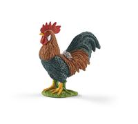 Coq (Bundle)