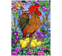 Coq Poussins