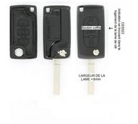 Coque + Clé Vague À Rabat 3 Boutons - Citroen C4 Picasso À Part. 01/2006