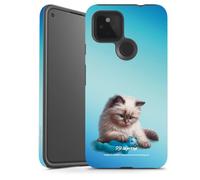 Coque Compatible avec Google Pixel 4a 5G Coque renforcée Coque Antichoc Chat Animal Domestique Ourse