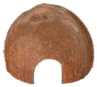 Coque de noix de coco - 8/10/12 cm