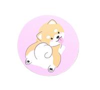 Coque de protection anti-rayures en polyuréthane absorbant les chocs pour une fixation instantanée de l'appareil photo sans effort et installation rapide de l'objectif