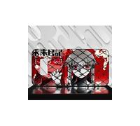 Coque Design Samsung Galaxy S10+ S10 PLUS MANGA MIRAI NIKKI - Réf 01