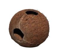 JBL Tierbedarf Grotte Cocos Cava 1/1L - Coque de noix de coco pour aquariums et terrariums