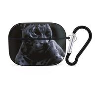 Coque pour AirPod Pro 2 avec porte-clés, coque antichoc compatible avec AirPod Pro 2e/1ère génération, prend en charge le chargement sans fil, LED avant visible, noir