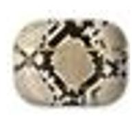 Coque pour AirPods Pro Sahara Snake Imprimé Reptile Attrayante IDEAL OF SWEDEN Léopard G