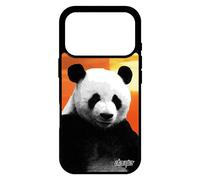 Coque Pour Iphone 17 Pro Silicone Panda Ecologie Ecolo Design Ours Couch¿ De Soleil Animaux Housse Animal Ciel Made In France