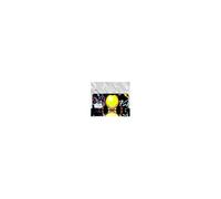 Coque Pour Xiaomi 12 LITE 5G Manga Assassination Classroom 04