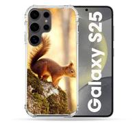 Coque Renforcée Pour Samsung Galaxy S25 Animal Ecureuil Bois
