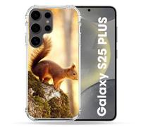 Coque Renforcée Pour Samsung Galaxy S25 Plus Animal Ecureuil Bois