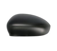 Boitier, rétroviseur extérieur BLIC 6103-01-1323933P