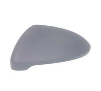 Boitier, rétroviseur extérieur BLIC 6103-01-2002605P