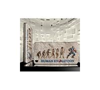 Coque rigide pour iPhone 5 5S HUMAN EVOLUTION SUPER HEROS CAPTAIN AMERICA 05