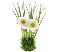 Coquelicot artificiel blanc pour une décoration au plus près de la nature