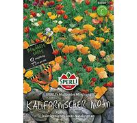Coquelicot californien, mélange multicolore