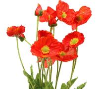 Coquelicot Orange Fleur artificielle en soie 60cm Set 3 pièces Deko
