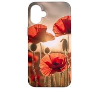 coquelicot rouge coquelicots fleurs fleur nature paysage Coque pour iPhone 16 Plus