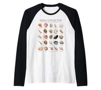 Coquillage Collector commun du Monde Art Vintage Manche Raglan