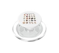 Coquillage Collector commun du Monde Art Vintage PopSockets PopGrip pour MagSafe