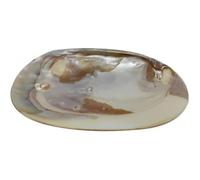 Coquillage en nacre