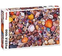 Coquillages: 1000 Pieces