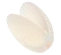 Coquillages Décoratifs en Pierre Naturelle pour Aquarium et Terrarium | Effet Décoratif Soigné, Ne Ternit Pas, Table Repas et Accessoires Maison
