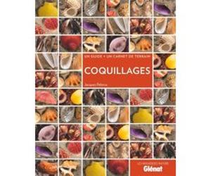 Coquillages Jacques Pelorce (Auteur)