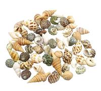Coquillages naturels de remplacement, Coquillages de remplacement for bernard-l'ermite, décoration d'aquarium de petite et moyenne taille, plusieurs tailles(A)