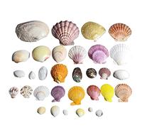 Coquillages naturels de remplacement, Coquillages naturels for fête sur la plage, bricolage, aquarium, vase, décoration de mariage, plusieurs tailles(C)