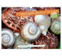 Coquillages, pierres et sable (Calendrier mural 2027 DIN A3 vertical), CALVENDO calendrier mensuel: Souvenirs maritimes qui donnent envie de la mer
