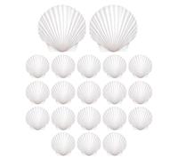 Coquillages pour bricolage - Coquillages décoratifs, matériau naturel pour | Coquillages décoratifs pour l'aménagement créatif de la pièce, avec une surface naturelle et des formes uniques pour un