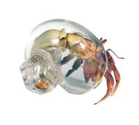 Coquillages transparents pour crabes ermites | Habitat pour crabes ermites | Grandes escargots transparents pour reptiles crustacés poissons | Décoration pour aquarium