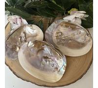 Coquille d’huître perlière - trésor naturel & outil de lithothérapie