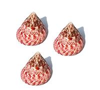 Coquille de mer naturelle. Coquille de croissance de crabe ermite rose naturelle 3 pièces, coquilles de crabe ermite coquillage turbo conque de mer naturelle, maison de crabe ermite for la décoration(